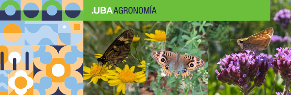 JARDIN DE MARIPOSAS